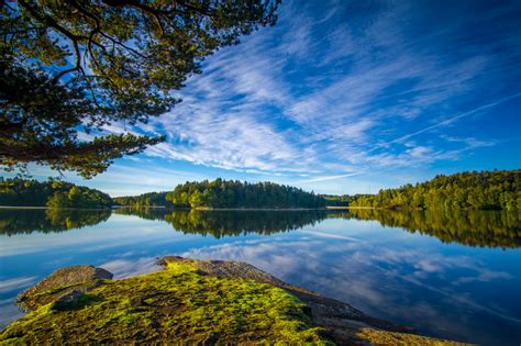 Wallpaper Lake Nature Forest Goteborg Landscape Sweden