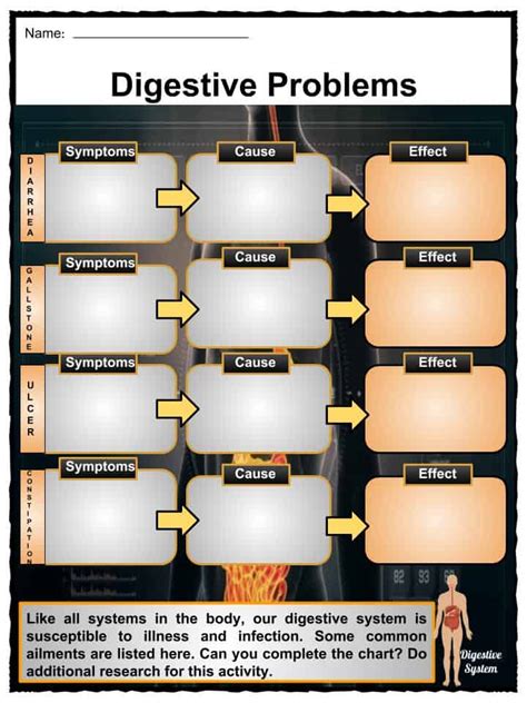 digestive system facts worksheets components process  kids