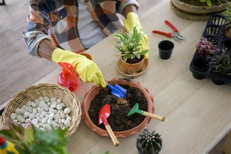 Senior Man Is Planting With Gardening Tools On Wooden Floor Hobby And