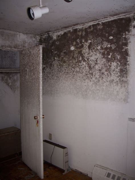 Mold in a bedroom poses safety risks to those with allergies, asthma, and any other respiratory conditions especially. Photo Gallery