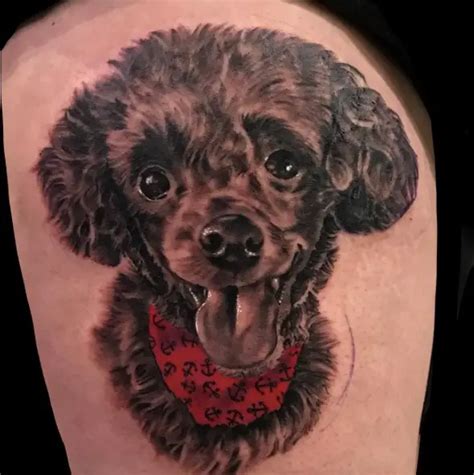The 40 Best Poodle Dog Tattoo Ideas Page 6 Of 8 The Paws