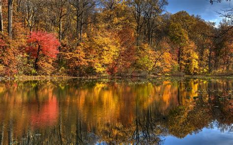 Fondos De Pantalla Luz De Sol Árboles Paisaje Bosque Otoño Lago