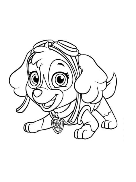 Desenhos De Skye Patrulha Canina Para Crian As Para Colorir E Imprimir Colorironline