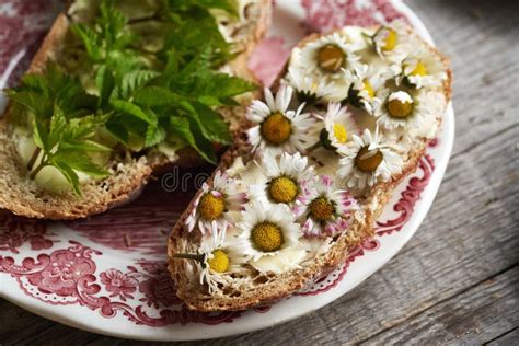 Wild Edible Plants On Slices Of Sourdough Bread Stock Photo Image Of