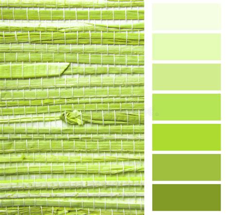 Grasscloth Wallpaper Color Chart Stock Photo Image Of Decoration