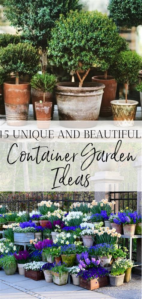 15 Unique And Beautiful Container Garden Ideas Sanctuary Home Decor