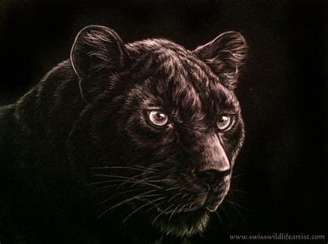 See black panther face drawing stock video clips. Black panther by Bisanti on deviantART | Black panther ...