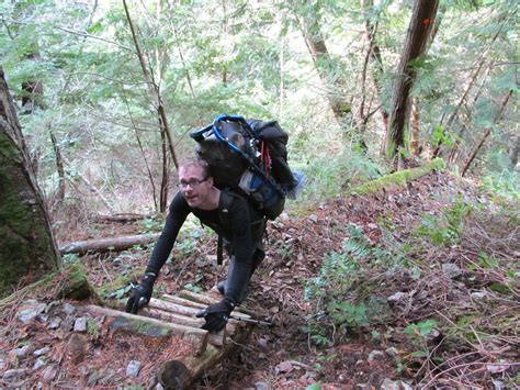 The sunshine coast of british columbia, canada is surrounded by ocean and covered with forests. sunshine coast trail | Coast, Powell river, Mountain ...