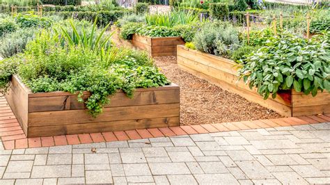 Pros And Cons Of Raised Beds