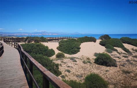 🌊 Playa Del Carabassí á Elche Alicante 🌊 7 Mares