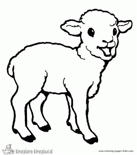 Kleurplaten schaap kleurplatenkleurplaat.nl
