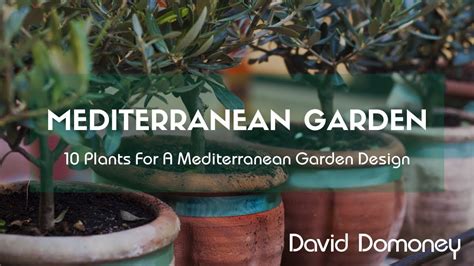 10 Plants For A Mediterranean Garden Design Gardening Gardens