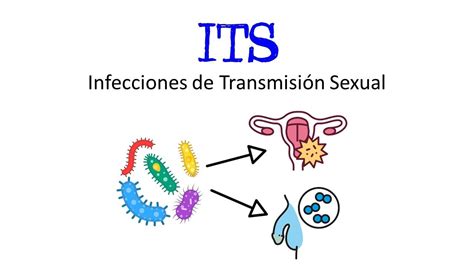 Qué son las Infecciones de Transmisión Sexual ITS Ejemplos