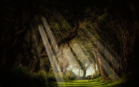 Dark wallpapers on desktop - page 2