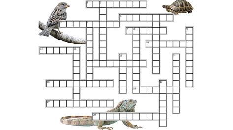 Answer Key Evolution Crossword Puzzle Answer Sheet