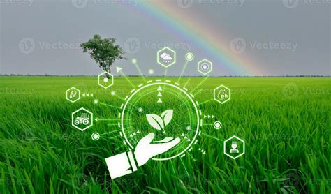 Smart agriculture with modern technology concept. Landscape of green