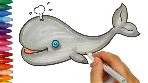Hitam dan putih ikan paus beluga blog gambar png. Gambar Ikan Kartun Berwarna | Gambar Gokil