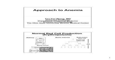 Approach To Anemia Final Handout To Anemia Final 2pdf3 Anemia With