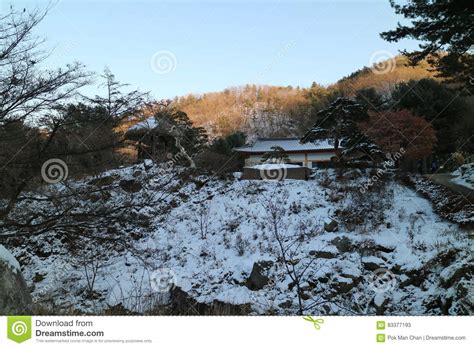 The Garden Of Morning Calm Winter Lighting Festival Seoul Stock Image