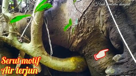 Cara membuat koktail simpel dan. menemukan bahan bonsai serut motif air terjun - YouTube