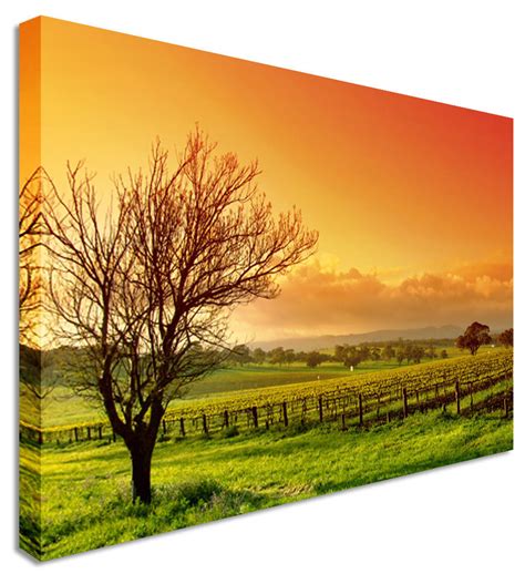 Large Orange Green Field Lonely Tree Canvas Pictures Wall