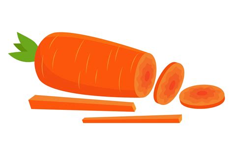 Carrot Cut Into Parts Vector Illustratio Graphic By Pchvector