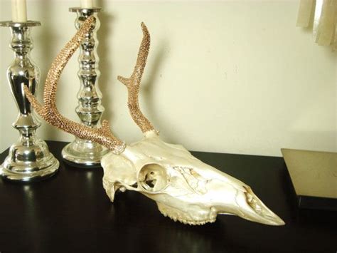 Painted Deer Skull Taxidermy Spring Natural 6 Point With Etsy