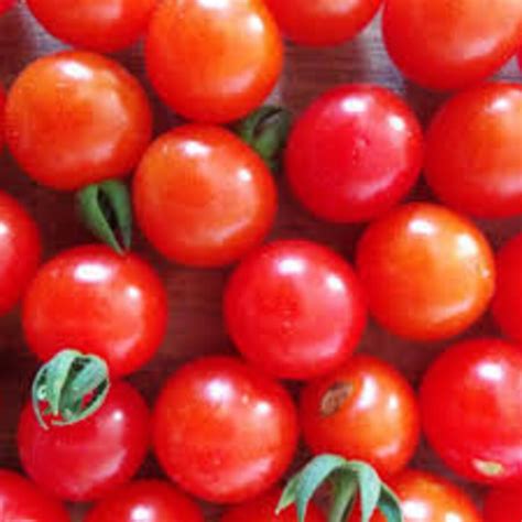 Sweetie Cherry Tomato Super Sweet 40 Fresh Organic Seeds For The 2024