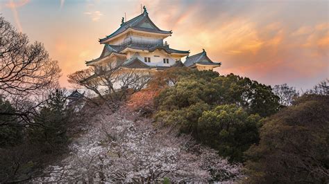배경 화면 자연 경치 건물 나무 아시아 건축 탑 일몰 숲 일본 오사카 성 1920x1080 Zehedu