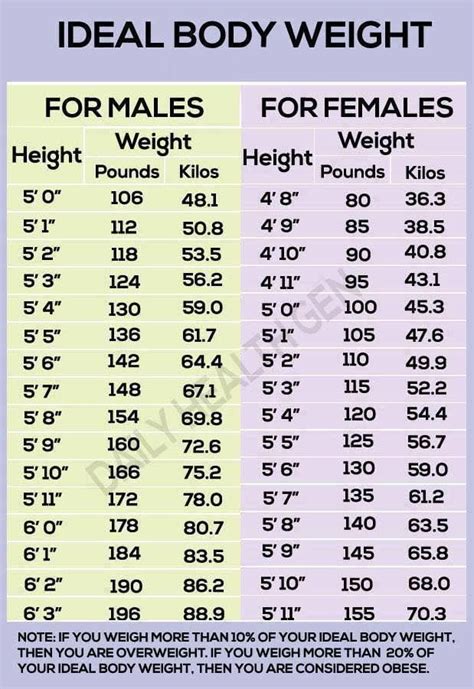 The Ideal Body Weight Chart For Males And Females