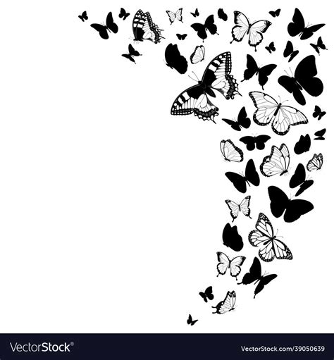 Black And White Butterflies Design Royalty Free Vector Image