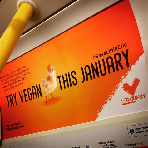 Try Vegan This January Vegan Free Training Book Cover