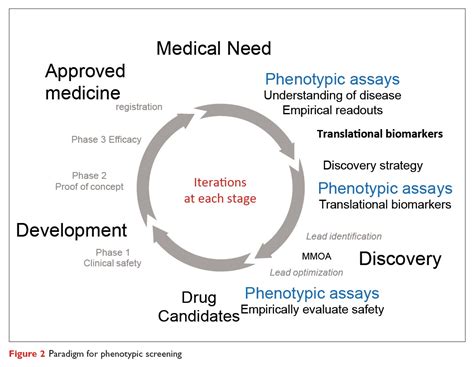 Opportunities For Phenotypic Screening In Drug Discovery Drug