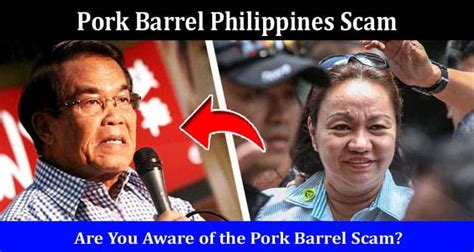 Pork Barrel Philippines Scam What Is Janet Lim Napoles Projects Definition Legislation Pork