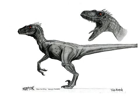 On Deviantart Velociraptor Drawing