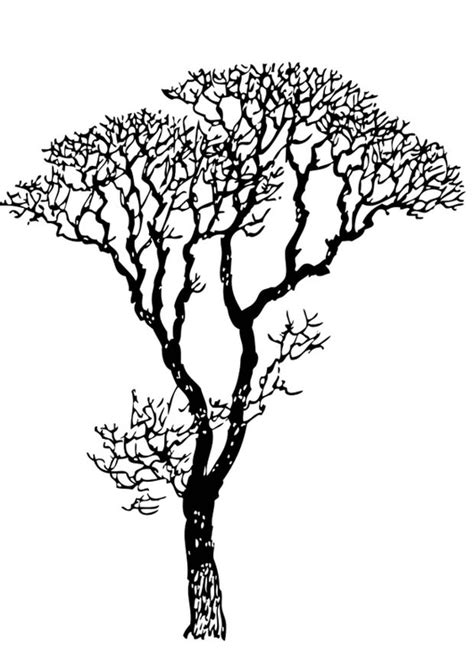 Dibujo para colorear árbol pelado - Dibujos Para Imprimir Gratis - Img