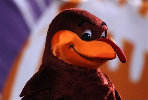 Hokie Bird Virginia Tech University The Worst Mascots In College