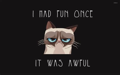 37 Grumpy Cat Meme Wallpaper