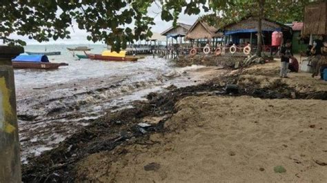 Pantai Di Batam Kembali Tercemar Tumpahan Minyak Kehidupan Laut Terancam