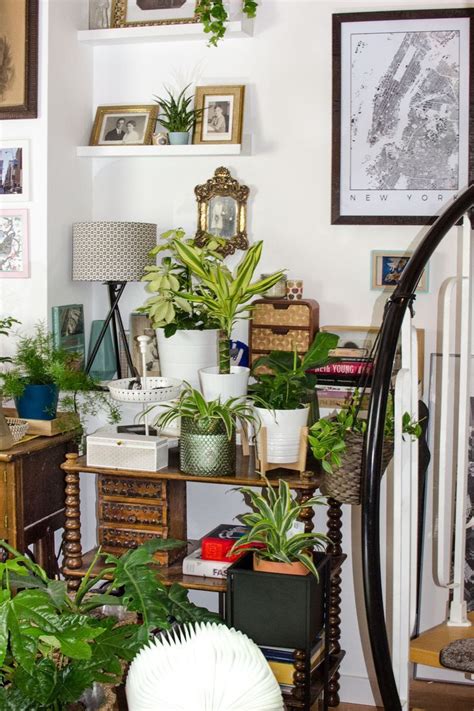 Für die perlen unter den blütenpflanzen. BLUMENKÄSTEN, -TÖPFE, PLANT BOXES & CO: Tolle Pflanzgefäße ...