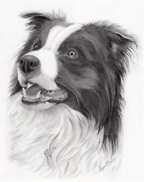 And i hasten to show you another art with this dog polly border collie. Pin de Debbie Brown Ratliff en Art - Pencil en 2019 ...