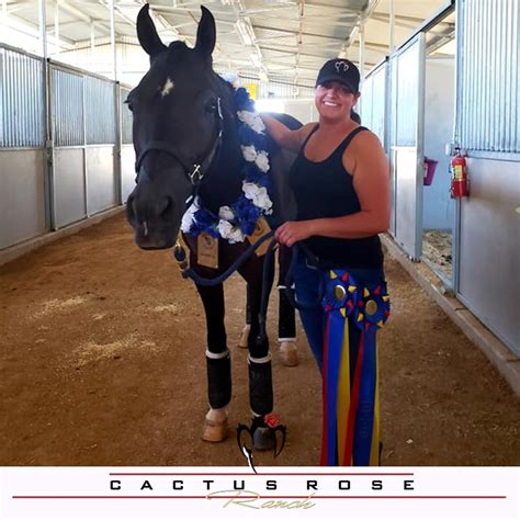 The arabian horse association of arizona is also a nonprofit organization. Cactus Rose Ranch - Home | Facebook
