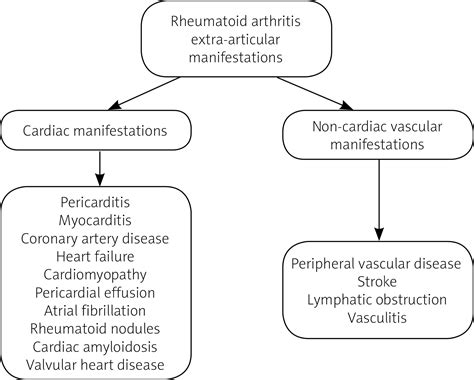 Cardiac And Vascular Complications In Rheumatoid Arthritis