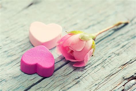 Hd Wallpaper February 14 Valentines Day Hearts Love Flowers Pink