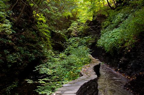 Wallpaper Sunlight Garden Nature Green River Wilderness Jungle Stream Path Rainforest