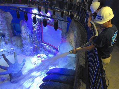 Sea Life Aquarium Starts Two Day Fill Process Orlando