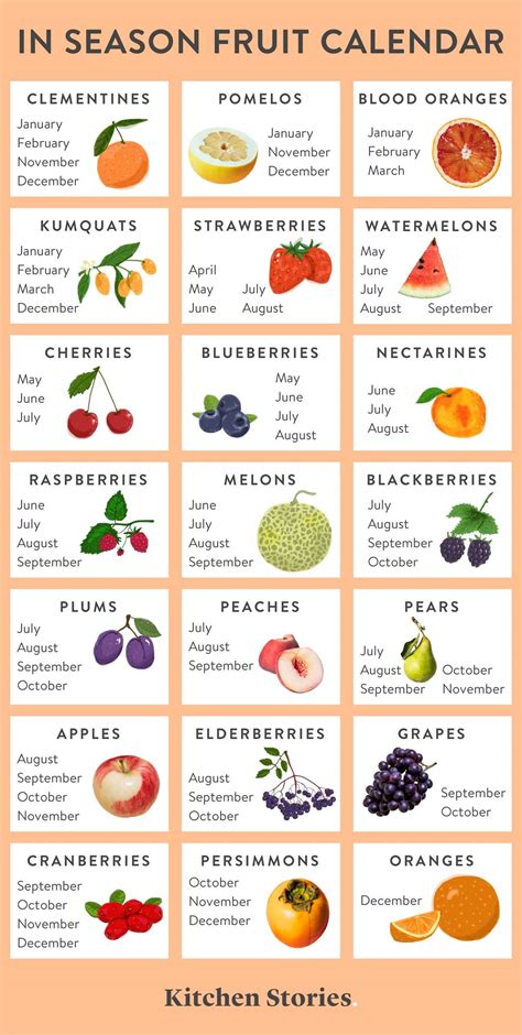 What Fruits And Vegetables Are In Season A Yearly Guide To Produce