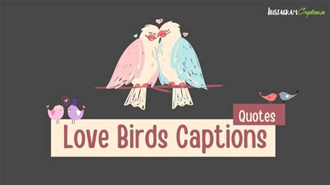 147 Love Birds Captions For Instagram Love Birds Quotes