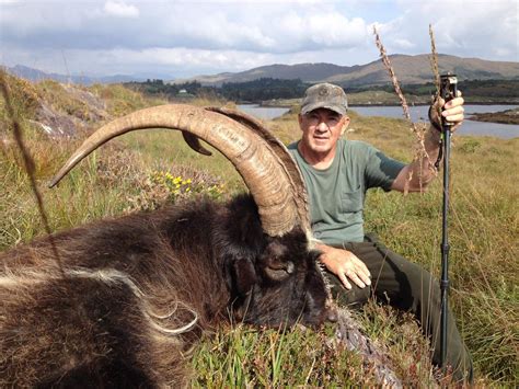 Celtic Field 3 Day Sika Stag And Ibex Hunt For One Hunter In Ireland