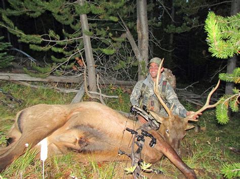 Archery Elk Hunting Stockton Outfitters